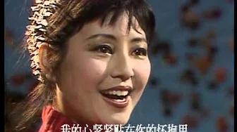1986年央视春节联欢晚会 歌曲《祖国啊我永远热爱你》 殷秀梅| CCTV春晚