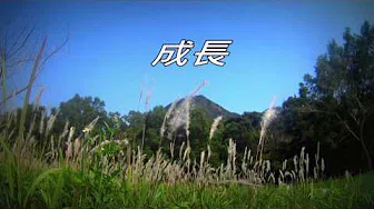 成长 (创作歌曲)