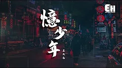 王大毛 - 忆少年『公子翩翩好俊俏，我的少年会不会寂寥？』【动态歌词Lyrics】