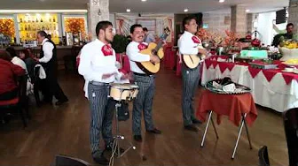墨西哥人唱中文歌!