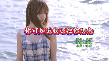 王娜《你可知道我还把你想》KTV 导唱字幕 （备有伴奏视频）