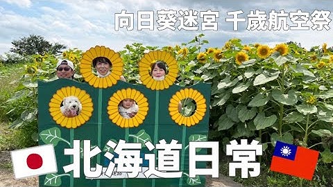 【北海道生活 】优衣库换季特价/航空祭/向日葵迷宫