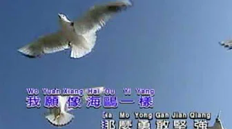 海鸥（刘家昌）