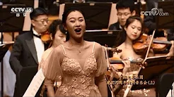 绒花      岳璐演唱    中国电影乐团伴奏   李凌指挥