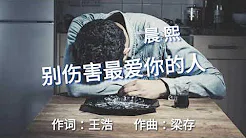 《别伤害最爱你的人》演唱 : 晨熙