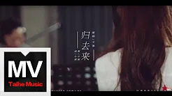 王箏【归去来】（原唱：希莉娜依 & 胡兵）官方完整版 MV