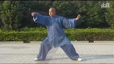 完美的 陈式太极拳老架一路　Once of the best Chen Style Old Form Tai Chi Quan