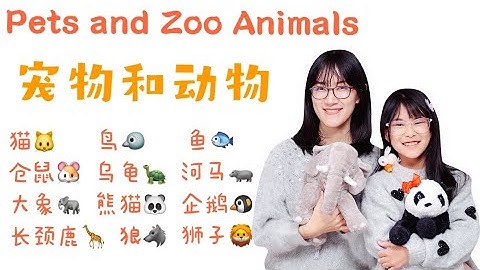 Pets and Zoo Animals |儿童中文学习：宠物和动物中文课|Mandarin learning for Children|Chinese lesson for kids