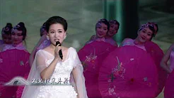 江苏卫视2017鸡年春晚 歌曲《江南江北我的家》雷佳