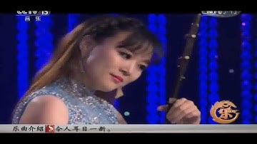 新天涯歌女 - 张丽君_赵雪 【二胡与木笛合奏】Erhu and Flute Ensemble