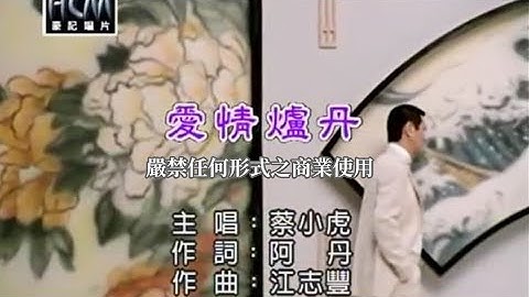 蔡小虎-爱情炉丹(官方KTV版)