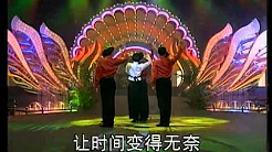 1993年央视春节联欢晚会 歌曲《为我们的今天喝彩》 林萍| CCTV春晚