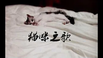 【洛少爷】猫咪之歌（少年ver）