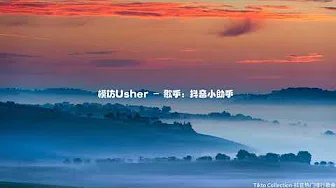 模仿Usher - 歌手：抖音小助手 .mp3