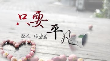 張杰/張碧晨 - 只要平凡-電影《我不是藥神》主題曲-歌詞版-五瓶手寫MV