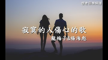 龍梅子&楊海彪【寂寞的人傷心的歌】愛一個人是對是錯【動態歌詞Lyrics】
