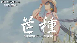 音闕诗听 - 芒种 (feat.赵方婧)【动态歌词Lyrics】