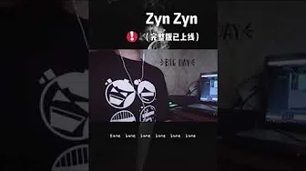 叁块木头 - Zyn Zyn