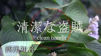 【资讯栏】Clean Bandit 洁净的盗贼 ft. Jess Glynne 洁西格琳 /. Rather Be 无处甚比 中文字幕(Taiwanese/Chinese Sub)