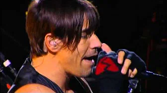 Red Hot Chili Peppers - 12. She