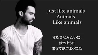 Maroon5「Animals」歌词＆和訳