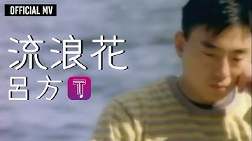 吕方 Lui Fong  -《流浪花》Official MV