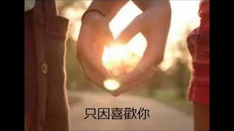 Faye Wong 王菲/ Jan Lamb 林海峰 - 只因喜欢你