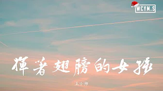 王小帅 - 挥着翅膀的女孩【动态歌词/Lyrics Video】