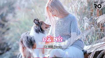 Đã Nói 都说 - 龙梅子/老猫 (DJ何鹏 Remix)