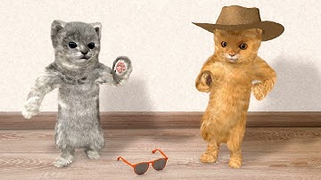 Two dancing cats