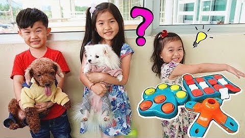 狗狗吃零食挑戰！好可愛喔~寵物狗狗 玩遊戲 ~Cute Puppy) Fun For kids by Jo Channel！