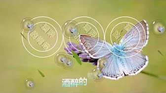 抖音歌曲2019最火-酒醉的蝴蝶华语流行新歌曲，非常好听