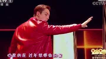 过年disco 是由陈伟霆、张艺兴、董宝石（宝石gem）在2020年中央广播电视总台春节联欢晚会上表演的歌舞