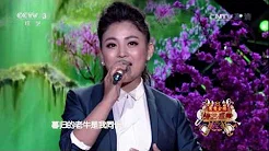 [综艺盛典]歌曲《乡间的小路》 演唱：王洁实 阿鲁阿卓 | CCTV