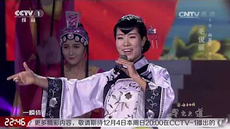 [星光大道] 20161202 歌曲《粉墨春秋》 演唱：毛俊丽 | CCTV
