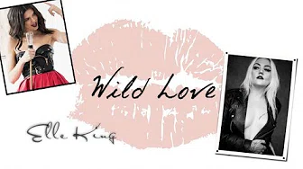 【雅诗兰黛广告曲】Wild Love 狂野之爱 - Elle King 艾儿金 中文歌词