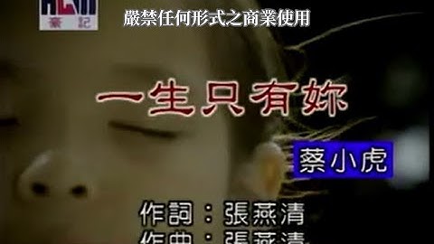 蔡小虎-一生只有你(官方KTV版)