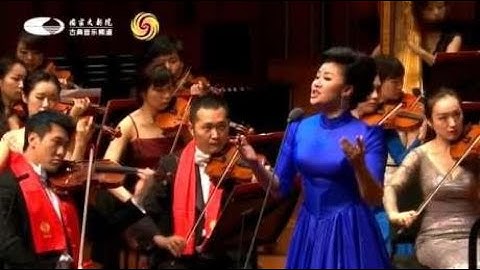 王丽达倾情演唱《亲吻祖国》，国家大剧院管弦乐团精彩演奏