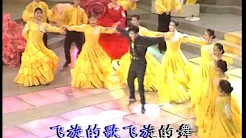 1992年央视春节联欢晚会 歌舞《飞旋啊飞旋》 解晓东|张咪| CCTV春晚