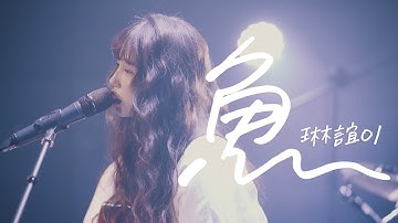 琳谊01 cover［怕胖团 鱼］Live Music Video