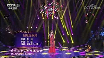 《最炫民族风》演唱：棠星琪 CCTV央视《中华情》
