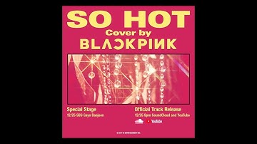 BLACKPINK - SO HOT (THEBLACKLABEL Remix) Official Track