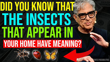 Did you know that the insects that appear in your home have meaning 