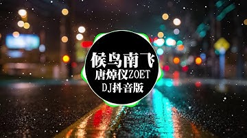 唐焯仪ZOET - 候鸟南飞(DJ抖音版) || Hot Tiktok Douyin