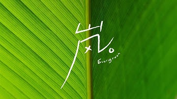 CORSAK - 嵐 Evergreen (Audio)
