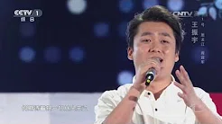 [星光大道] 20170407 歌曲《等待》 演唱：王振宇 | CCTV