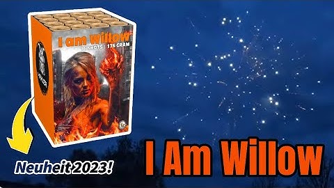 [4K] Lesli I Am Willow Feuerwerksbatterie | NEUHEIT 2023
