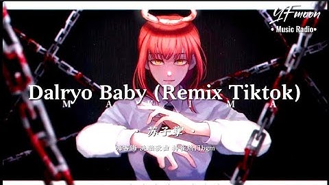 苏子孽 - Dalryo Baby (Remix Tiktok)(嗨害嗨) | YFMOON ❤️