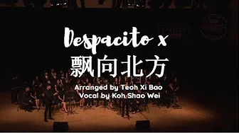 Despacito x 飘向北方 (SPRESSO Harmonica)