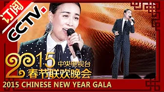 2015 央视春节联欢晚会 歌曲《丝路》那英| CCTV春晚